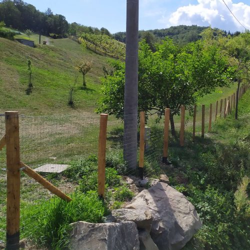 recinti e staccionato in legno su terrazzamento - il castagno (1)